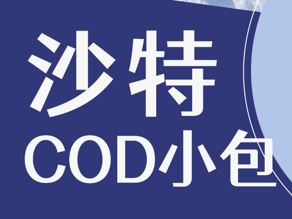 沙特電商能改變供應(yīng)鏈嗎？安時(shí)達(dá)沙特物流這樣說(shuō)