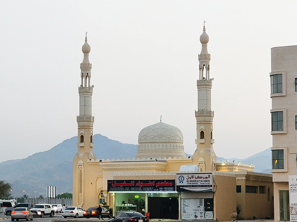 中東出口，食品行業(yè)市場(chǎng)需求與潛力如何？