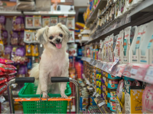 中東寵物市場(chǎng)